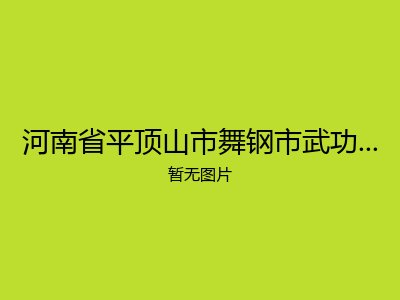河南省平顶山市舞钢市武功乡敬老院