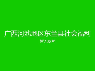广西河池地区东兰县社会福利