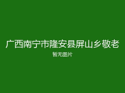 广西南宁市隆安县屏山乡敬老