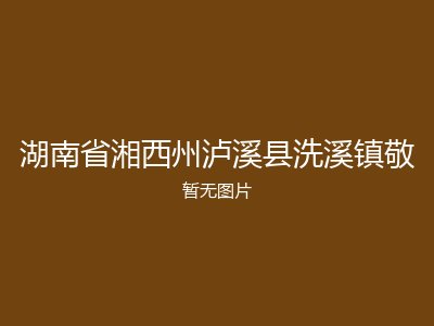 湖南省湘西州泸溪县洗溪镇敬
