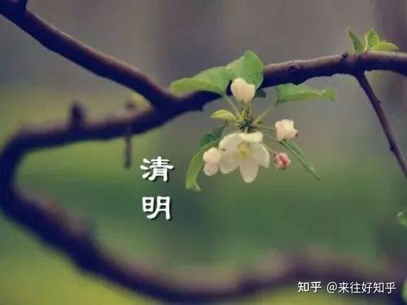 湖南省株洲市攸县福利院