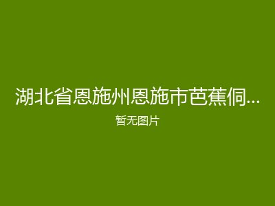 湖北省恩施州恩施市芭蕉侗族乡中心福利院