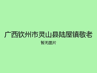 广西钦州市灵山县陆屋镇敬老