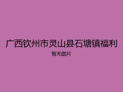 广西钦州市灵山县石塘镇福利