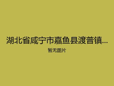湖北省咸宁市嘉鱼县渡普镇烟墩福利院