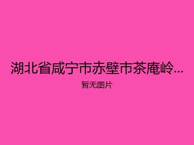 湖北省咸宁市赤壁市茶庵岭镇福利院