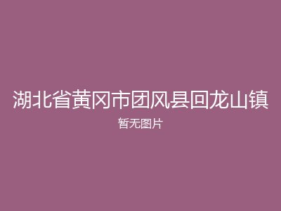 湖北省黄冈市团风县回龙山镇