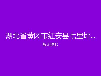 湖北省黄冈市红安县七里坪方西河福利院