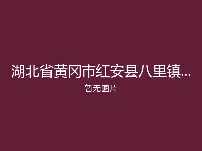 湖北省黄冈市红安县八里镇社会福利院