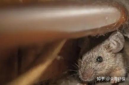 广西南宁市上林县巷贤镇敬老院