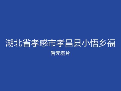 湖北省孝感市孝昌县小悟乡福