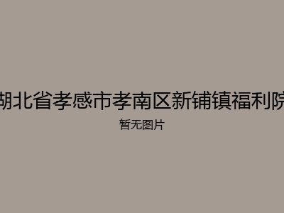 湖北省孝感市孝南区新铺镇福利院