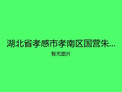 湖北省孝感市孝南区国营朱湖农场福利院