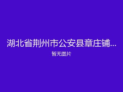 湖北省荆州市公安县章庄铺镇郑公福利院