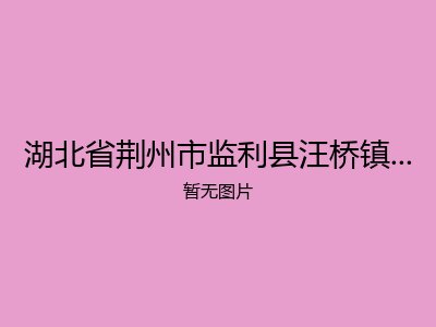 湖北省荆州市监利县汪桥镇社会福利院