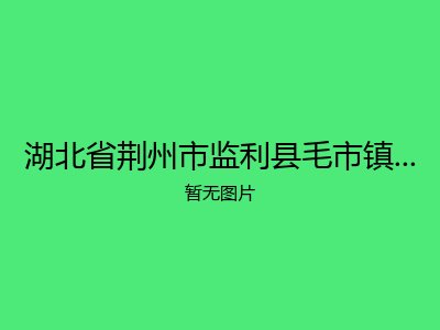 湖北省荆州市监利县毛市镇社会福利院