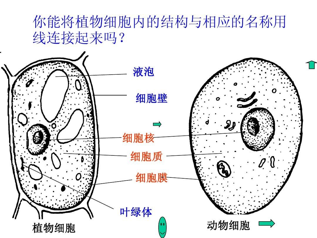 湖北省荆州市监利县汴河镇福利院
