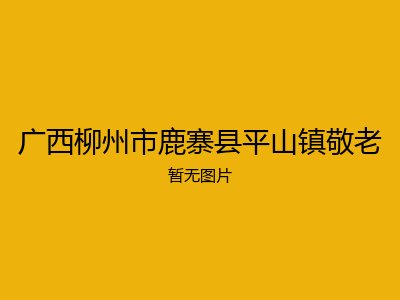 广西柳州市鹿寨县平山镇敬老