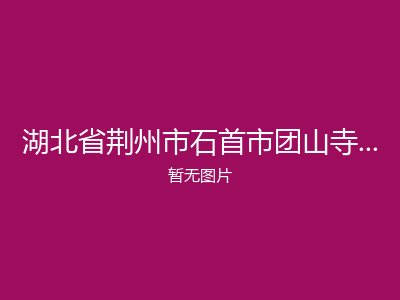 湖北省荆州市石首市团山寺镇福利院