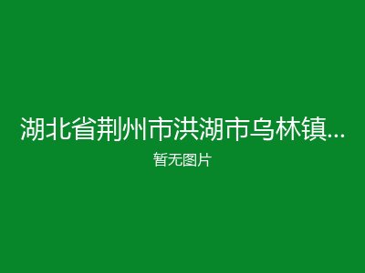 湖北省荆州市洪湖市乌林镇农村福利院