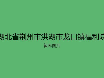湖北省荆州市洪湖市龙口镇福利院