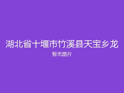 湖北省十堰市竹溪县天宝乡龙