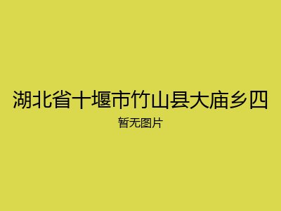 湖北省十堰市竹山县大庙乡四