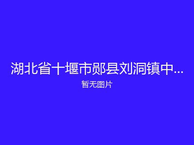 湖北省十堰市郧县刘洞镇中心福利院