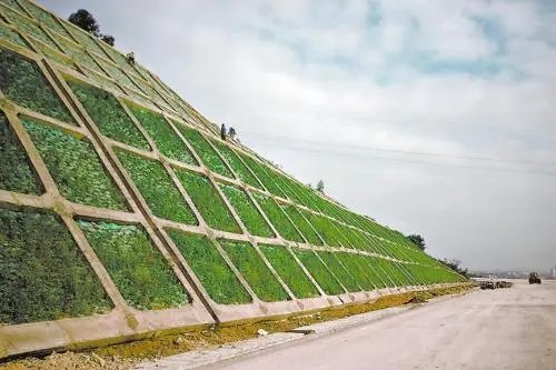湖北省襄樊市枣阳市南城办事