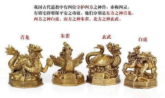 山东省德州市平原县温馨老年