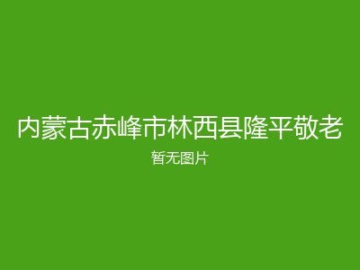 内蒙古赤峰市林西县隆平敬老