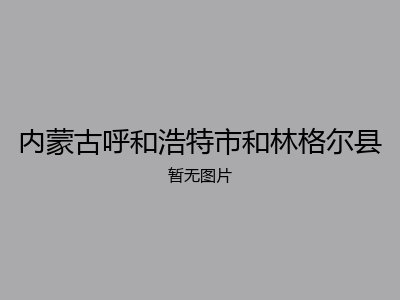 内蒙古呼和浩特市和林格尔县