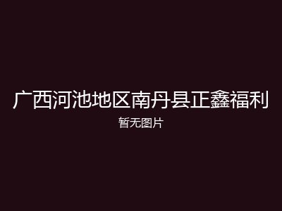 广西河池地区南丹县正鑫福利