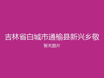 吉林省白城市通榆县新兴乡敬