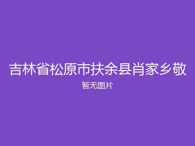 吉林省松原市扶余县肖家乡敬