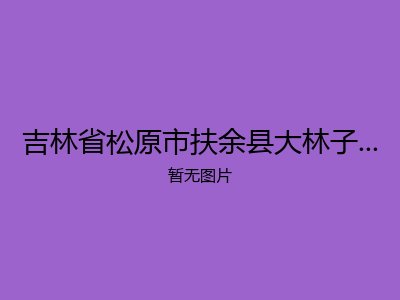 吉林省松原市扶余县大林子镇敬老院