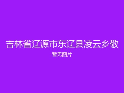 吉林省辽源市东辽县凌云乡敬