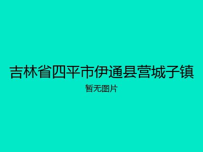 吉林省四平市伊通县营城子镇