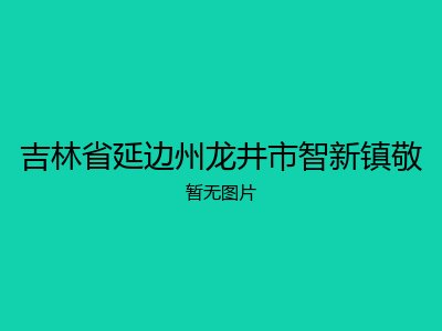 吉林省延边州龙井市智新镇敬