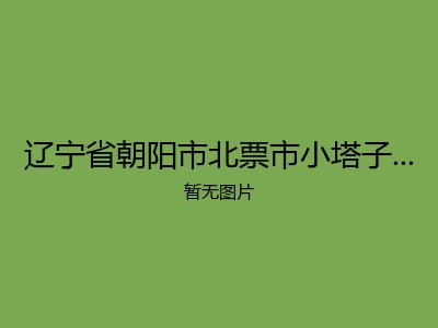 辽宁省朝阳市北票市小塔子乡敬老院