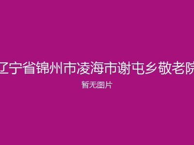 辽宁省锦州市凌海市谢屯乡敬老院