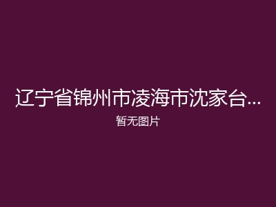 辽宁省锦州市凌海市沈家台镇敬老院