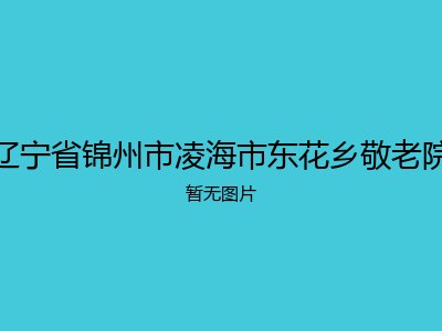 辽宁省锦州市凌海市东花乡敬老院