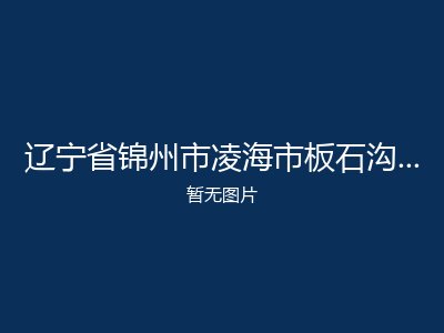 辽宁省锦州市凌海市板石沟乡敬老院