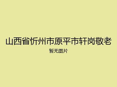 山西省忻州市原平市轩岗敬老