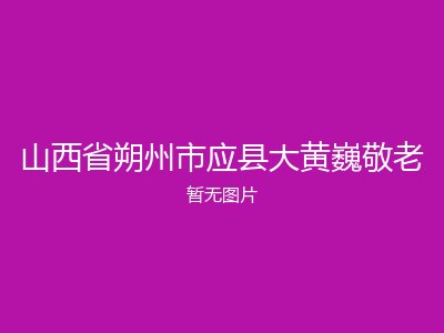 山西省朔州市应县大黄巍敬老