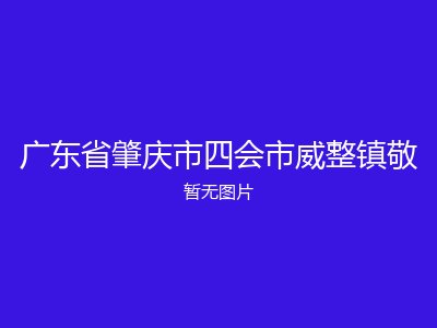 广东省肇庆市四会市威整镇敬