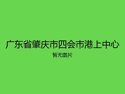 广东省肇庆市四会市港上中心