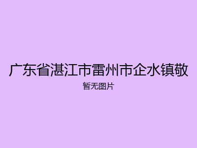 广东省湛江市雷州市企水镇敬