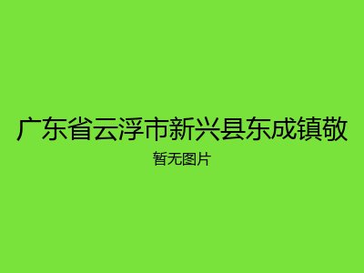 广东省云浮市新兴县东成镇敬